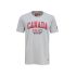Футболка CCM Flag Tee CANADA